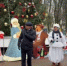 В Брянске зажгли главную новогоднюю елку города - Сетевое издание Новости Брянска