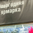 В Брянске увеличено количество ёлочных базаров по просьбам жителей - БрянскToday.Ru