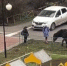 В Брянске лошадь наехала на 9-летнюю девочку на детской площадке - Телеканал Городской