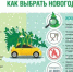 О рекомендациях как правильно выбрать новогоднюю елку - Роспотребнадзор