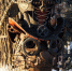 В брянском парке поселился Кот ученый - Vbryanske.Com