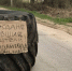 Подержанные автомобили в Брянской области подешевели - Газета Брянские новости