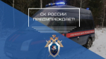 Следственное управление призывает родителей уберечь своих детей от вовлечения в совершение противоправных действий