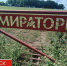 В Брянской области зафиксирован рекорд по производству мяса птицы - БрянскToday.Ru