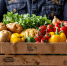 Стоимость основных продуктов для борща снизилась на 35% за последний год - Ракурс 32