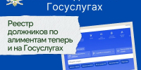 На Госуслугах заработал реестр злостных неплательщиков алиментов - УФССП