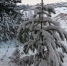 8 copy copy copy copy copy copy copy copy copy copy copy copy - ГТРК
