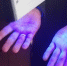 В Брянске замдиректора управления капстроительства не лишили свободы за взятку - Газета Брянские новости