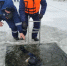 В Брянске к поискам пропавших детей подключили 21 водолаза - Газета Брянские новости