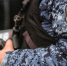 Брянские росгвардейцы задержали 19 нарушителей за неделю - БрянскToday.Ru