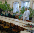 Ученики агротехнологического класса на занятиях по биологии в Брянском ГАУ - БГАУ