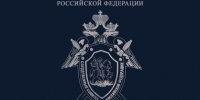 Житель города Сельцо предстанет перед судом по обвинению в применении насилия в отношении сотрудников патрульно-постовой службы - Следственный комитет