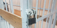 Брянского предпринимателя осудили за хищение 2,4 млн рублей на пошиве военной формы - Телеканал Городской