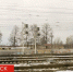В Брянске опубликовали архивное дело о расстреле машиниста-вредителя Шешени - БрянскToday.Ru