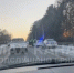 Стали известны подробности ДТП с гужевой повозкой в Брянском районе - БрянскToday.Ru