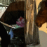 «И только топот копыт»: брянских школьников обрекли на дорогу с приключениями - Газета Брянские новости