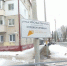 Небезопасно и некачественно: яма порвала капитально сделанную дорогу в Брянске - Брянский ворчун