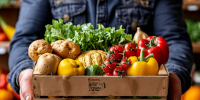 Экспорт агропромышленной продукции из России вырос в три раза за десятилетие, достигнув 41,6 млрд долларов - Ракурс 32
