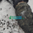 Под Брянском поезд отрезал голову 18-летнему зацеперу - Телеканал Городской