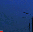 Брянскую область атаковали 57 БпЛА, есть последствия - БрянскToday.Ru