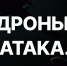 Брянский губернатор назвал огромную цифру сбитых вражеских дронов - Газета Брянские новости