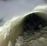 На Втором Брянске мужик замуровал заживо собаку в водоотводной трубе - Брянский ворчун