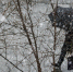 2 copy 1326x746 copy copy - ГТРК