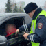 В Брянске анонсировали облаву на любителей чрезмерной тонировки - БрянскToday.Ru
