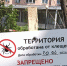 Брянцев предупредили о проснувшихся клещах - ИА Наш Брянск.ru