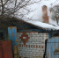 Пожилая женщина погибла в пожаре под Стародубом - БрянскToday.Ru