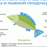 Правила выбора безопасной рыбы и морепродуктов. - Роспотребнадзор
