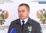 На что обратить внимание при выборе посадочного материала: рекомендации специалистов Россельхознадзора