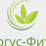 О количественных ограничениях ввозимых в 2026 году отдельных видов семян сельскохозяйственных культур и предварительной подачи уведомлений в информационную систему ФГИС «Аргус-Фито» - Россельхознадзор