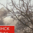 Военный эксперт Подоляка: по Брянску били ракетами Storm Shadow - БрянскToday.Ru
