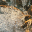 26 nasha pogoda 1326x746 - ГТРК