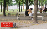 Сокращение разрыва в зарплатах удерживает брянских специалистов в регионе