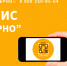Вниманию хозяйствующих субъектов, участвующих в обороте зерна! - Россельхознадзор