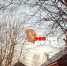 dn7xncwfed3g77d0csvb7-ik3wbdrkvzf-1mfyihxlt-3seou7uwv6x_6tdjcond3keaz6uvlyiq77m6bkq_yavs - Ракурс 32