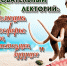 19032026 - Краеведческий музей