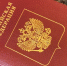 Брянцам разъяснили порядок действий при утере паспорта и СНИЛС - БрянскToday.Ru
