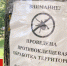 Ситуацию с клещами в Брянске взяла на контроль прокуратура - БрянскToday.Ru