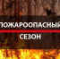 С 6 апреля на землях лесного фонда Брянской области начнет действовать пожароопасный сезон - Управление лесами