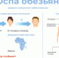 Оспа обезьян - история болезни - Роспотребнадзор