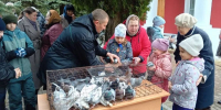 В праздник Благовещения Пресвятой Богородицы на приходе храма поселка Локоть выпустили голубей - Газета Брянские новости