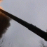 Отбивались бы не под Брянском, а под Москвой: полковник ответил критикам СВО - Газета Брянские новости