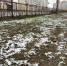 Брянск второй день укутывает снегом - Сетевое издание Новости Брянска