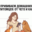 Вакцинация питомцев для профилактики зоонозных инфекций. - Роспотребнадзор