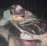 Под Севском автомобиль Lada Kalina врезался в лошадь – пострадала пассажирка - Газета Брянские новости
