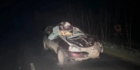 На трассе в Севском районе автомобиль столкнулся с лошадью - БрянскНОВОСТИ.RU