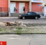 «Было очень страшно»: читательница пожаловалась на свору псов в центре Брянска - БрянскToday.Ru
